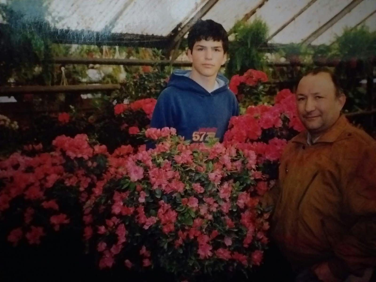 Muestra azaleas